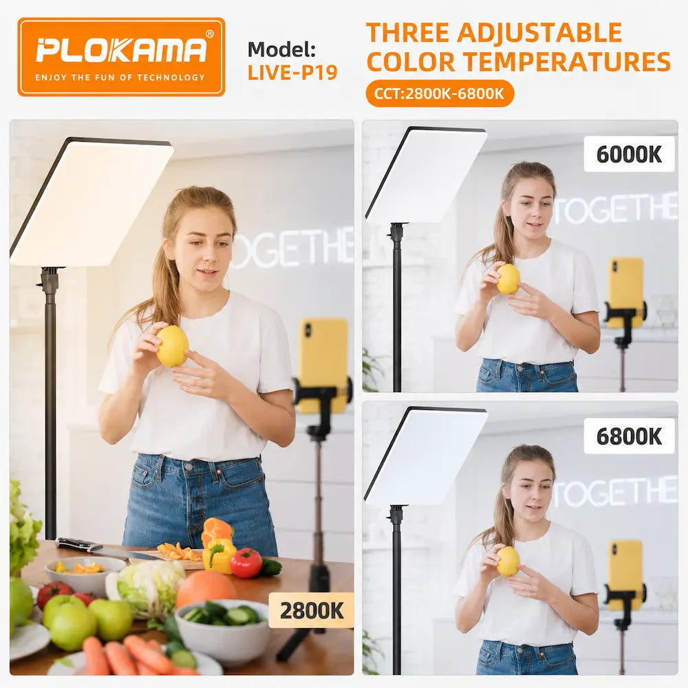 PLOKAMA LIVE-P19 LED Fill Light – Adjustable Creator Studio Light with Remote